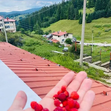 Villa Retro Grashtitsa